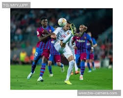 埃弗顿球员手球未被判点球，桑德兰球迷愤怒